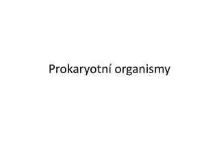 Prokaryotní organismy