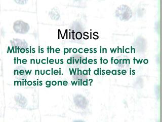 Mitosis