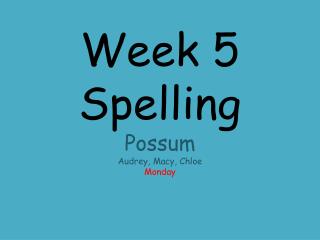 Week 5 Spelling Possum Audrey, Macy, Chloe Monday