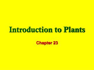 Introduction to Plants