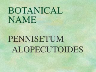 BOTANICAL NAME