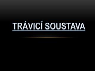 TRÁVICÍ SOUSTAVA