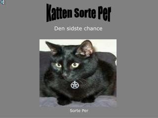 Katten Sorte Per