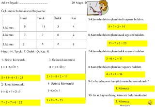 Adı ve Soyadı: ……….……………………………. 	 29 Mayıs 2009