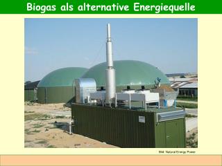 Biogas als alternative Energiequelle