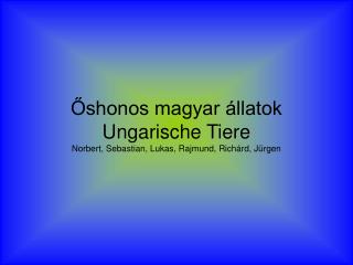 Őshonos magyar állatok Ungarische Tiere Norbert, Sebastian, Lukas, Rajmund, Richárd, Jürgen