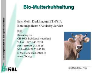 Bio-Mutterkuhhaltung