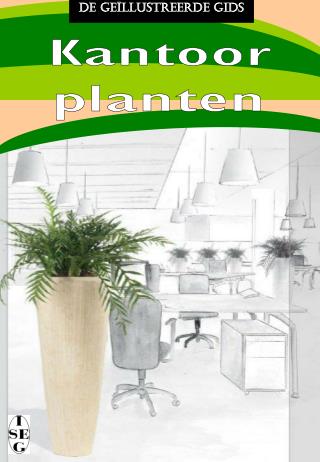 Kantoor planten