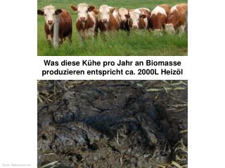 Was diese Kühe pro Jahr an Biomasse produzieren entspricht ca. 2000L Heizöl