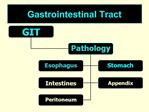 Gastrointestinal Tract