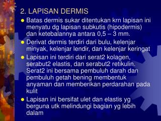 2. LAPISAN DERMIS