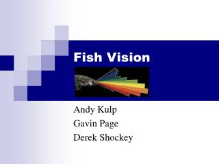 Fish Vision