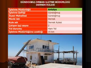 GÜNDOĞMUŞ ORMAN İŞLETME MÜDÜRLÜĞÜ DERNEK KULESİ