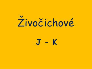 Živočichové