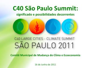 C40 São Paulo Summit: significado e possibilidades decorrentes