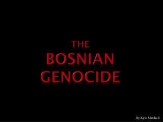 The Bosnian Genocide