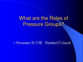 What are the Roles of Pressure Groups?