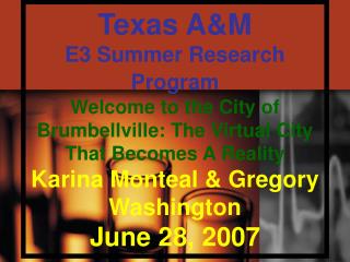 Texas A&amp;M E3 Summer Research Program