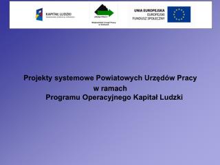 Projekty systemowe Powiatowych Urzędów Pracy w ramach Programu Operacyjnego Kapitał Ludzki