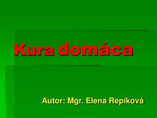 Kura domáca