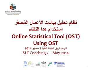نظام تحليل بيانات الأعمال المُصغر استخدام هذا النظام Online Statistical Tool (OST ) Using OST