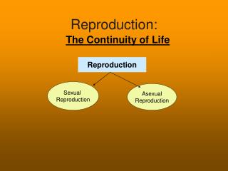 Reproduction: