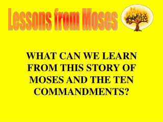 Lessons from Moses