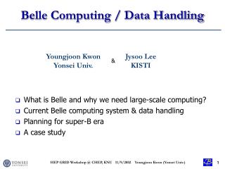 Belle Computing / Data Handling