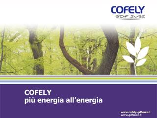 COFELY più energia all’energia