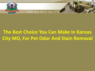 Kansas City MO, for pet odor and stain removal