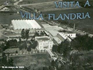 ALGOSELAN - Villa Flandria / grupo amarillo