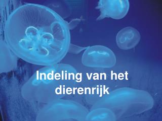 Indeling van het dierenrijk