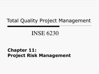 Chapter 11: Project Risk Management
