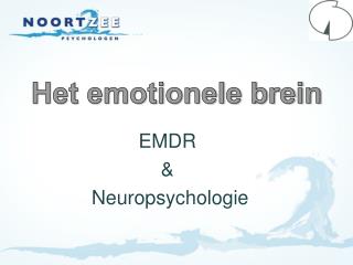 Het emotionele brein