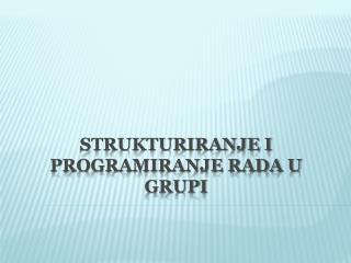 Strukturiranje i programiranje rada u grupi