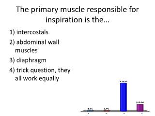 The primary muscle responsible for inspiration is the…