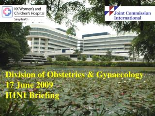 Division of Obstetrics &amp; Gynaecology 17 June 2009 H1N1 Briefing