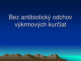 Bez antibiotický odchov výkrmových kurčiat