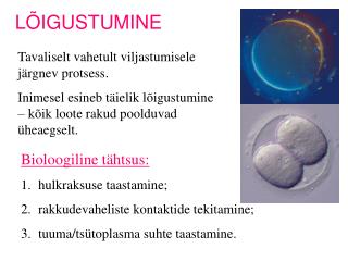 LÕIGUSTUMINE