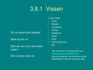 3.8.1 Vissen