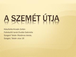 A SZEMÉT ÚTJA