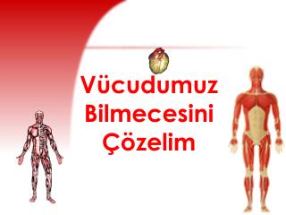 Vücudumuz Bilmecesini Çözelim