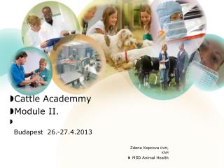 Cattle Academmy Module II. Budapest 26.-27.4.2013 Zdena Kopcova DV M, KAM MSD Animal Health