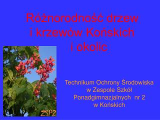 Technikum Ochrony Środowiska w Zespole Szkół Ponadgimnazjalnych nr 2 w Końskich