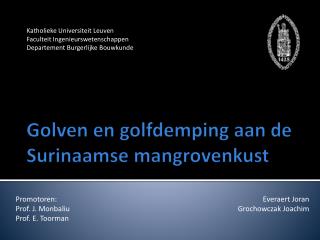 Golven en golfdemping aan de Surinaamse mangrovenkust