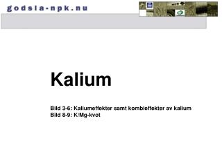 Kalium Bild 3-6: Kaliumeffekter samt kombieffekter av kalium Bild 8-9: K/Mg-kvot