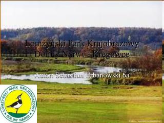 Łomżyński Park Krajobrazowy Doliny Narwi - Kręgowce