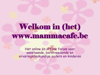 Welkom in (het) mammacafe.be