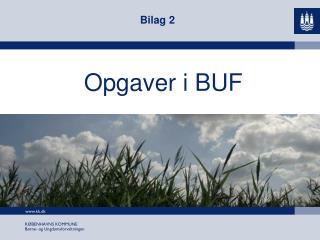 Opgaver i BUF