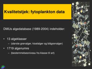 Kvalitetstjek: fytoplankton data